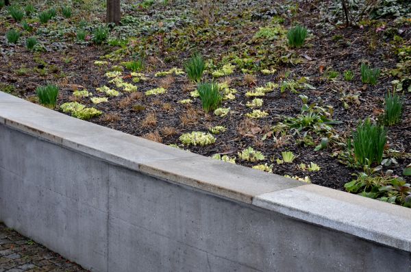 Concrete Wall Construction in Mandeville