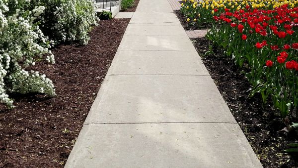 Sidewalk Concrete Replacement in Mandeville