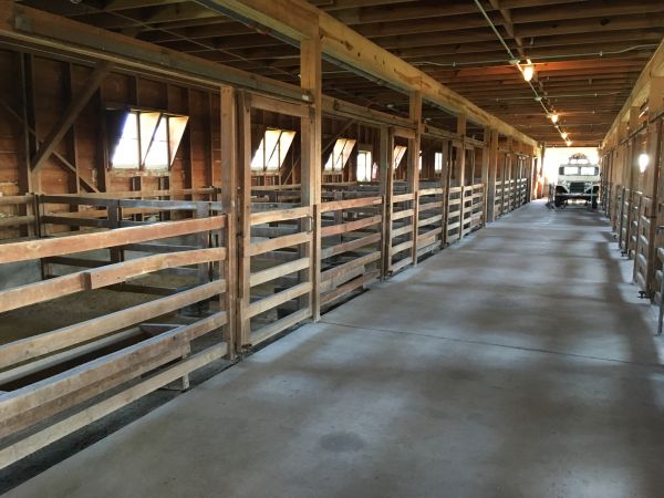 Barn Slab Construction in Mandeville
