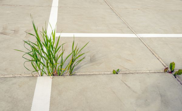 Concrete Parking Installation in Mandeville